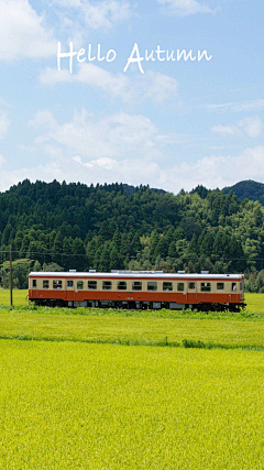 小五毒采集到风景素材