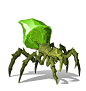 Toxic Spider