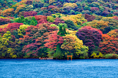 Crystalk采集到日本・画报—— 风景画卷