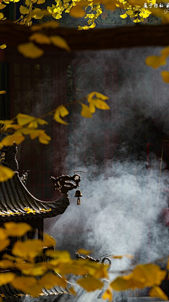 布娜娜~采集到风景