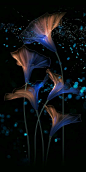 (49) Pinterest