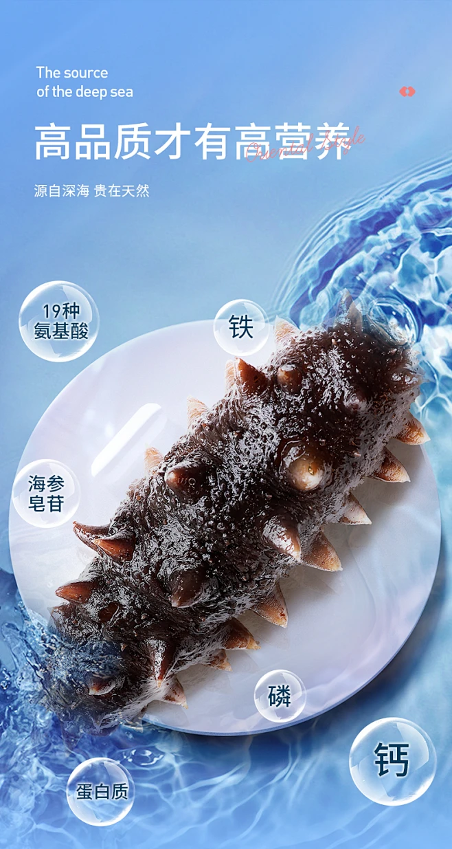 久年大连野生即食海参鲜活1500g 海参旗舰店辽参礼盒装孕妇非干货-tmall.com天猫-花瓣网