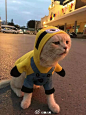来自相册