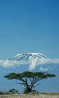 Mt. Kilimanjaro, Tanzania