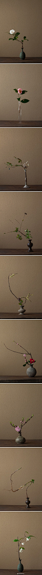 Beautiful simplicity of Japanese Ikebana.: 