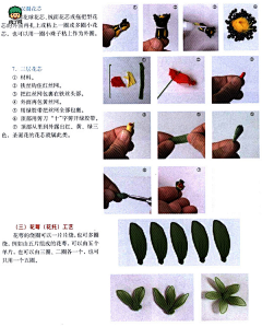 梦若楠木采集到花儿开了