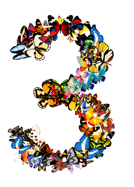 艺术数字创意设计png素材蝴蝶数字3