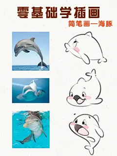 零基础学画画｜几何造型法—小海豚_1_橘子动物插画课_来自小红书网页版