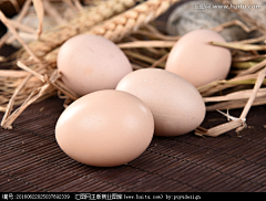 Levana_sun采集到素材-鸡蛋