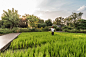 008-Ming Mongkol Green Park by Landscape Architects 49 Limited
