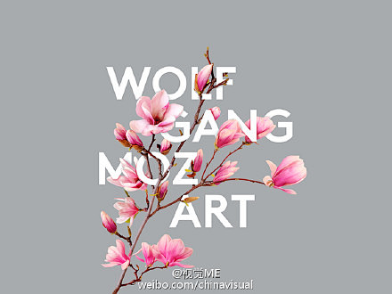 春天来了，花都开了！ O网页链接