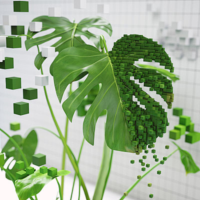 Voxel plants