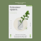 绿色植物ins风海报设计