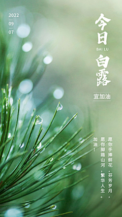 jojo0517采集到节日节气海报
