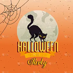 猫,月亮,黑色,秘密,暗色,脊椎动物,哺乳纲,猫科动物