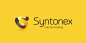 Syntonex logo-设计欣赏-素材中国-online.sccnn.com