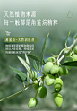 阿古丽娅晨雾森林去角质沐浴露300ml 搓泥宝清洁去死皮留香持久-tmall.com天猫