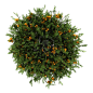 tree (15)