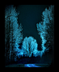 Starry Night… by *Violet-Kleinert - crescentmoon