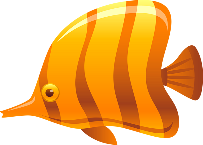 海底世界鱼png格式图片fish