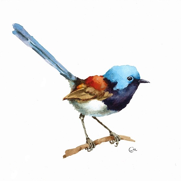 Watercolor Birds : W...