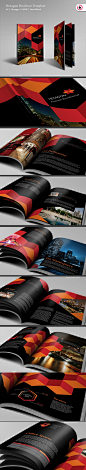Hexagon Brochure Template by Tony Huynh, via Behance 画册设计 平面 排版 版式  design book #采集大赛# #平面#【之所以灵感库】 