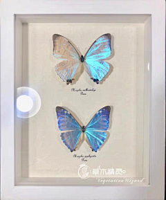小旺宝宝采集到质感材质