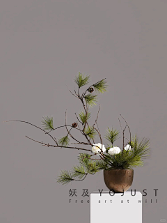 zj窝窝采集到H花艺
