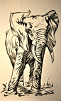 狮鸢SONNY   ELEPHANT
