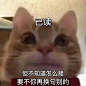 有哪些你舍不得删的沙雕表情包? : 整理了一些让人舍不得删的沙雕表情包，日常搞笑、阴阳怪气、吵架都能搞定，全部无水印，大家喜欢的话，可…