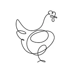 一笔画 | 图源免费EPS文件 |以连续线条艺术绘画风格呈现的母鸡。白色背景上孤立的极简黑色线性设计的鸡。矢量插图