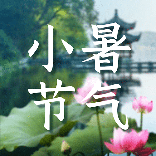 小暑节气祝福夏天莲花公众号次图
