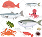 25个EPS 可爱卡通海底世界 章鱼 小丑鱼 水草 鲸鱼 热带鱼 矢量图-淘宝网