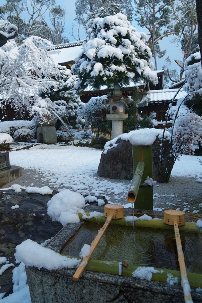 雪景