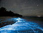 Doug Perrine captured these stunning photographs in the Maldives. 
发光浮游生物聚集后照亮了海浪，仿佛一片星海~~