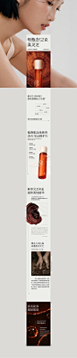 WPS图片(1)