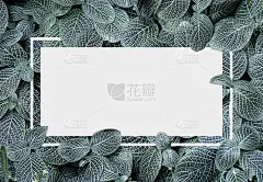 平铺创意的白纸卡注在简约的自然绿叶上。用于添加文本的预留环境和复制空间概念。