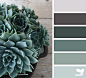 succulent tones