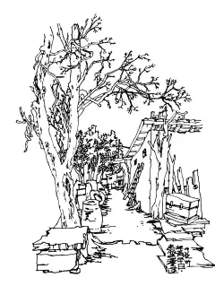 布卡是只帅帅猫 - 小红书