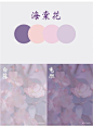 知识星球 | 深度连接铁杆粉丝，运营高品质社群，知识变现的工具