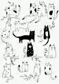 涂鸦插画猫