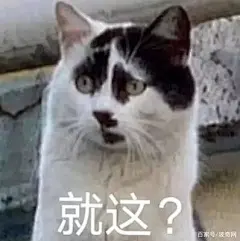 奶牛猫丑到自带表情包!2020第一批丑猫出炉,一