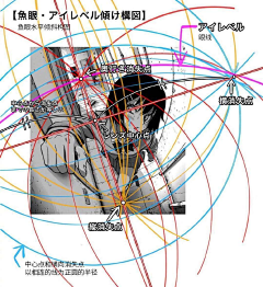 猩TAMA采集到透视