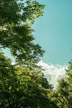 Behance :: 为您呈现