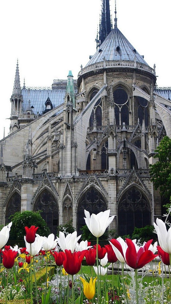 Notre Dame, Paris
巴黎...