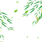 手绘植物 插画 PNG