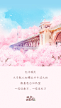 【武汉加油 | 共同抗疫 】地标樱花海报-长江大桥、龟山电视台