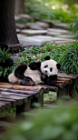 渝爱是什么