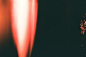 79