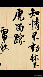 张弥迪的照片 - 微相册